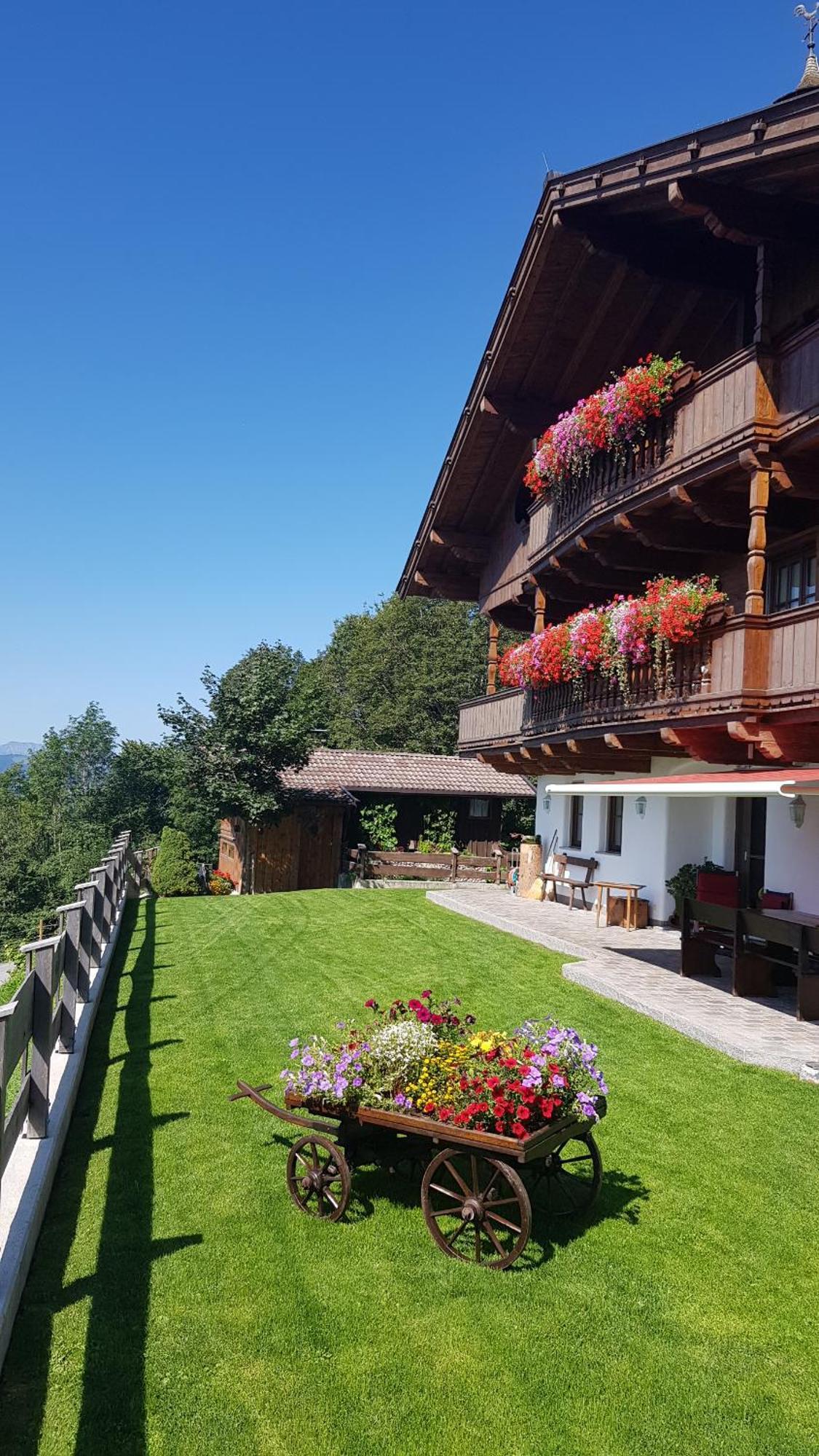 Appartement Oberschernthann 호프가르텐 임 브릭젠탈 외부 사진